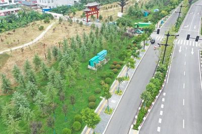 洛阳天囿园林发展 构筑生态绿廊，绘就城市绿化新篇章