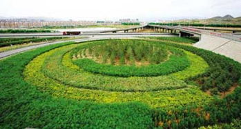 乌海绿韵 多项园林绿化工程即将全面实施锚定城市生态新格局